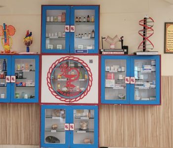 WhatsApp-Image-2025-06-11-at-4.05.20-PM-1